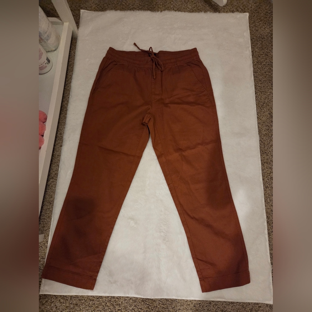 GAP Drawstring Chinos in Rust Brown
